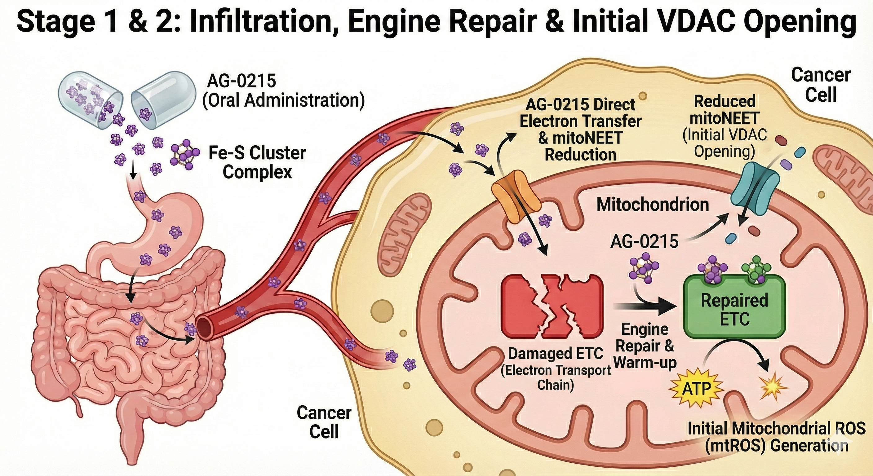 AG-0215 Technical Data 2